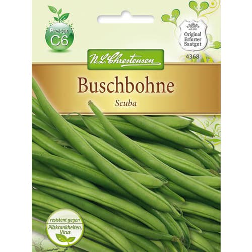 Fazuľa Scuba artikel fotografia 1 Fazuľa Scuba obrázok 1 artikel 78825