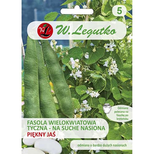 Fazuľa veľkokvetá ťahavá Pekný jas artikel fotografia 1 Fazuľa veľkokvetá ťahavá Pekný jas obrázok 1 artikel 86854