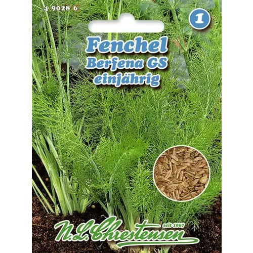Fenikel obyčajný Berfena obrázok 1 artikel 96473