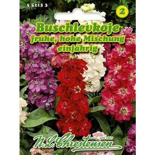 Fiala letná vysoká, zmes obrázok 1 artikel 96438