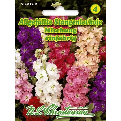 Fiala letná, zmes obrázok 1 artikel 96437