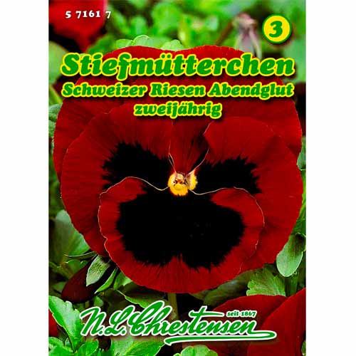 Fialka mnohokvetá Abendglut obrázok 1 artikel 50037