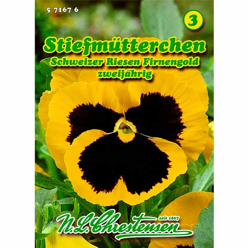 Fialka mnohokvetá Firnengold obrázok 1 artikel 50038