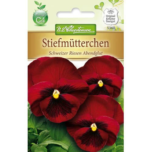 Fialka mnohokvetá švajčiarska Abendglut obrázok 1 artikel 78965