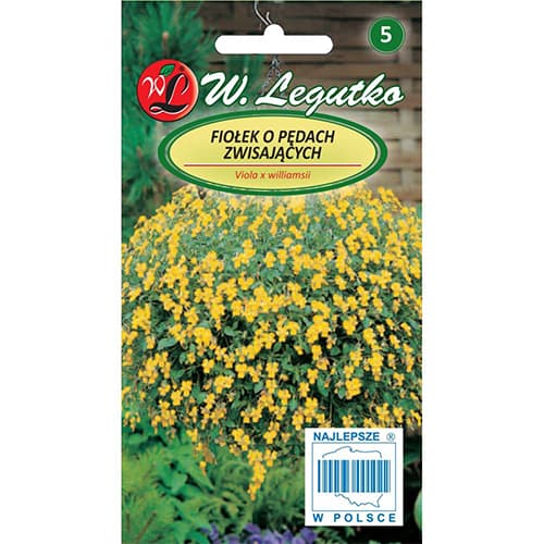 Fialka s prevísajúcimi výhonkami žltá obrázok 1 artikel 69587