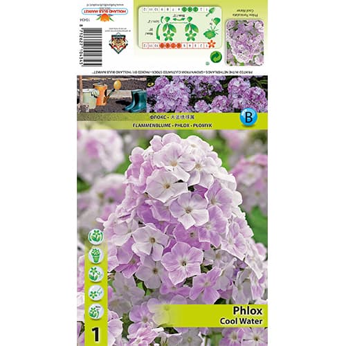 Flox Cool Water obrázok 1 artikel 77835