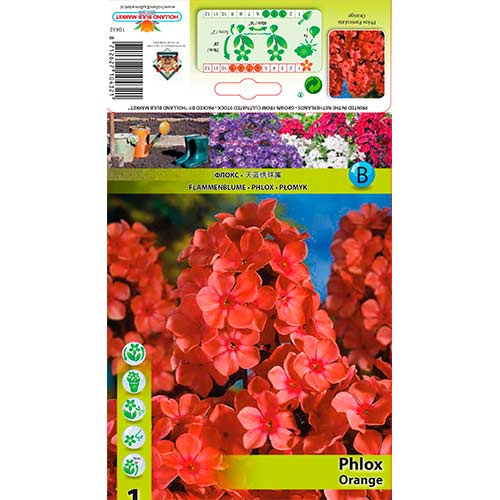 Flox metlinatý Orange obrázok 1 artikel 76617