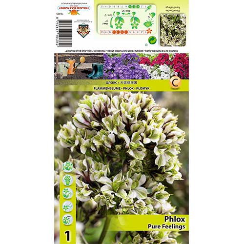 Flox metlinatý Pure Feelings obrázok 1 artikel 70448