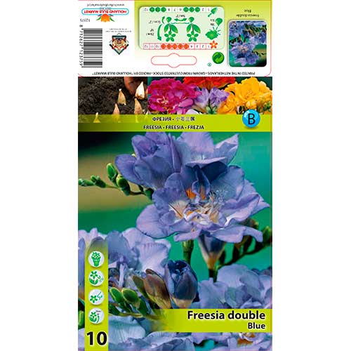 Frézia Double Blue artikel fotografia 1 Frézia Double Blue obrázok 1 artikel 76234
