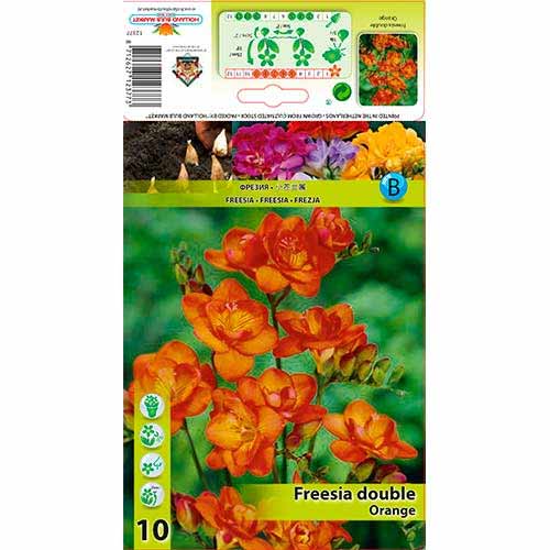 Frézia Double Orange artikel fotografia 1 Frézia Double Orange obrázok 1 artikel 76236