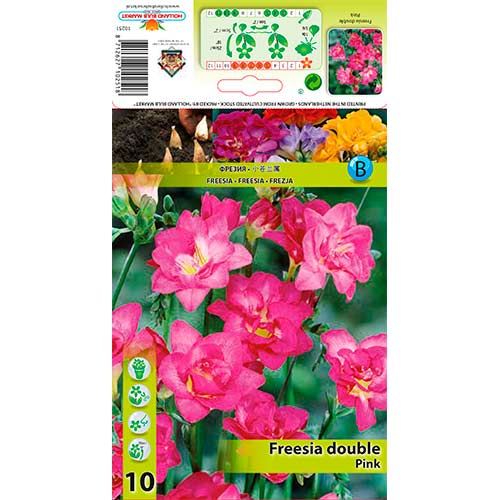 Frézia Double Pink obrázok 1 artikel 76237