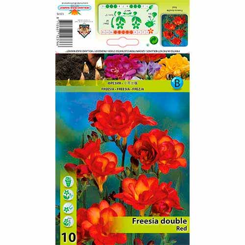 Frézia Double Red artikel fotografia 1 Frézia Double Red obrázok 1 artikel 76238
