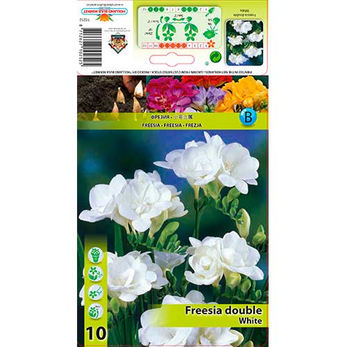 Frézia Double White artikel fotografia 1 Frézia Double White obrázok 1 artikel 76239
