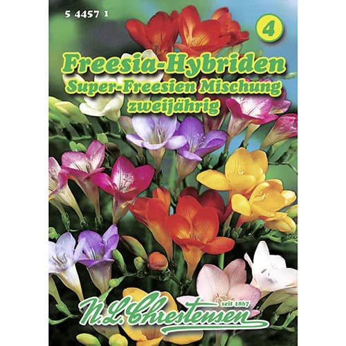 Frézia plnokvetá, zmes artikel fotografia 1 Frézia plnokvetá, zmes obrázok 1 artikel 96421