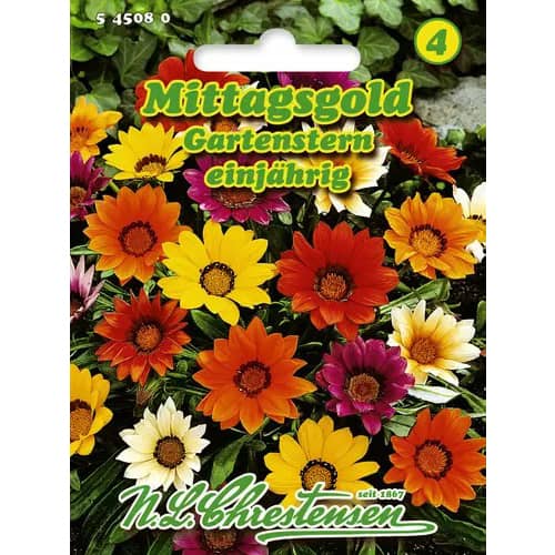 Gazánia žiarivá Gartenstern, zmes obrázok 1 artikel 96423