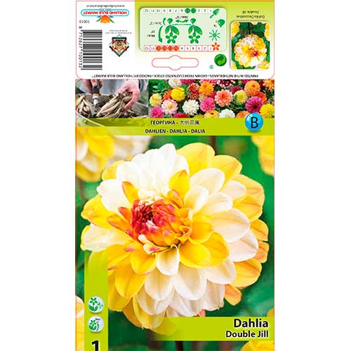 Georgína Double Jill obrázok 1 artikel 76563