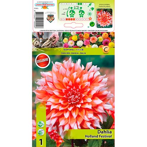 Georgína Holland Festival obrázok 1 artikel 76581