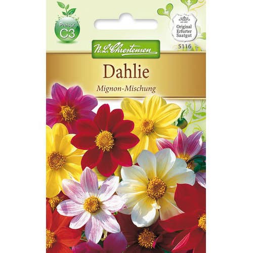 Georgína Mignon, zmes artikel fotografia 1 Georgína Mignon, zmes obrázok 1 artikel 78907