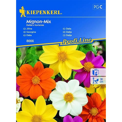 Georgína Міньон, zmes farieb obrázok 1 artikel 96525