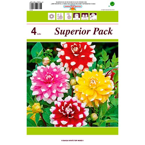 Georgína White Top Mixed obrázok 1 artikel 76431