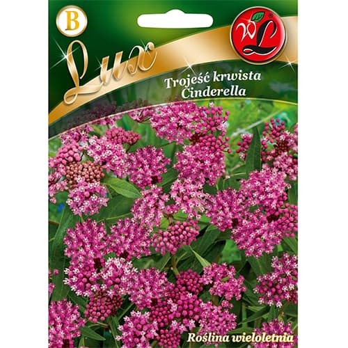 Glejovka močiarna Cinderella artikel fotografia 1 Glejovka močiarna Cinderella obrázok 1 artikel 96780