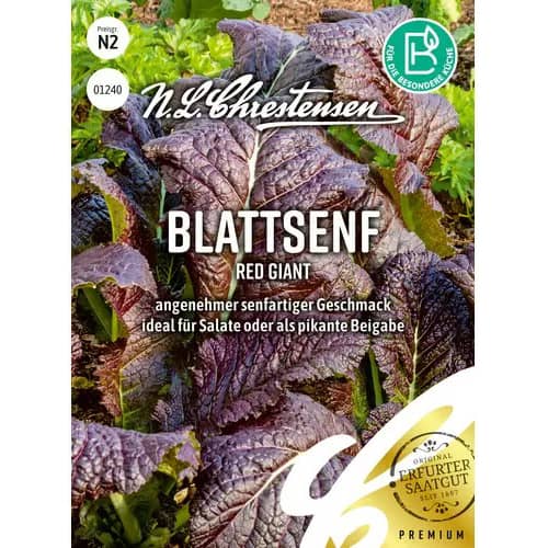 Horčica červená Giant obrázok 1 artikel 87829