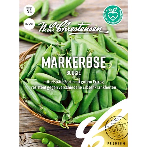 Hrach Boogie obrázok 1 artikel 86058