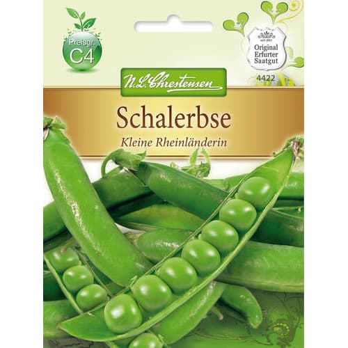 Hrach siaty Kleine Rheinlanderin obrázok 1 artikel 78842