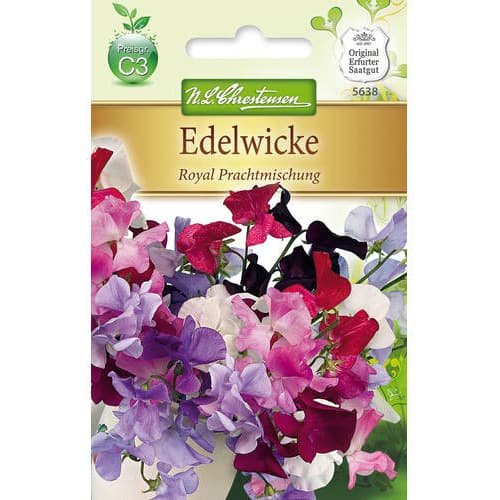 Hrach vonný Royal Prachtmischung obrázok 1 artikel 87813