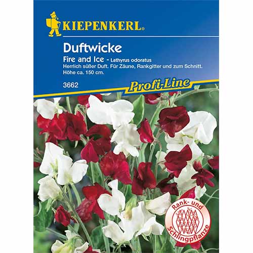 Hrachor voňavý Fire and Ice obrázok 1 artikel 96530