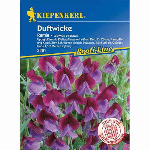 Hrachor voňavý Ramia obrázok 1 artikel 96531