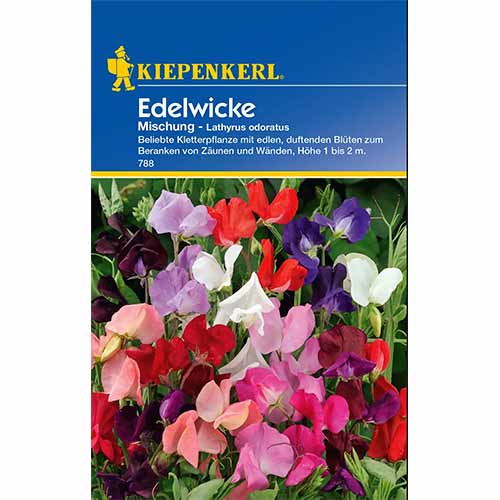 Hrachor voňavý Unicorn, zmes farieb obrázok 1 artikel 96532