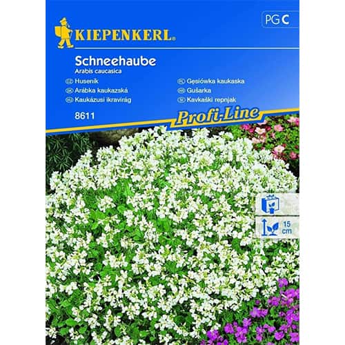 Huseník alpský obrázok 1 artikel 96511