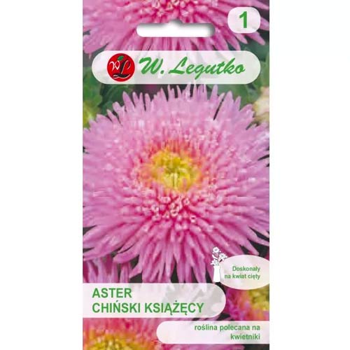 Hviezdnica čínska książęcy ružová obrázok 1 artikel 78515
