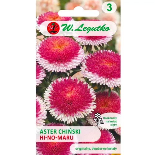 Hviezdnica čínska Liliput Hi-no-Maru obrázok 1 artikel 69562