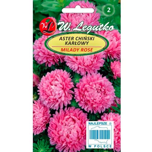 Hviezdnica čínska Milady Rose obrázok 1 artikel 69558