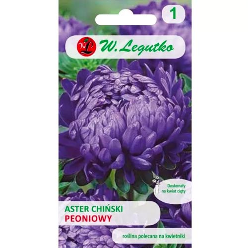 Hviezdnica čínska pivonková fioletowy obrázok 1 artikel 78528