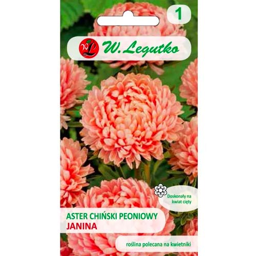 Hviezdnica čínska pivonková Janina łososiowy obrázok 1 artikel 78522