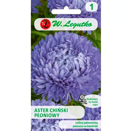 Hviezdnica čínska pivoňková niebieski obrázok 1 artikel 78527