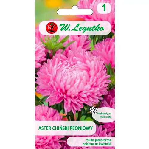 Hviezdnica čínska pivonková różowy obrázok 1 artikel 78524