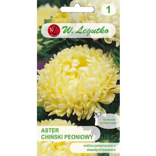 Hviezdnica čínska pivonková žółty obrázok 1 artikel 78521