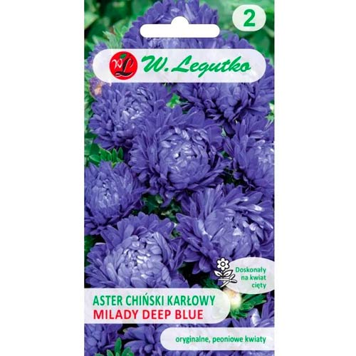 Hviezdnica čínska trpaslík Milady Deep Blue obrázok 1 artikel 69557