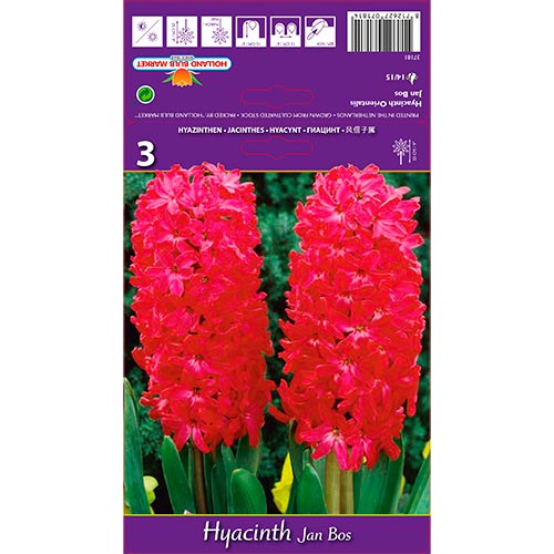 Hyacint Jan Bos obrázok 1 artikel 67596