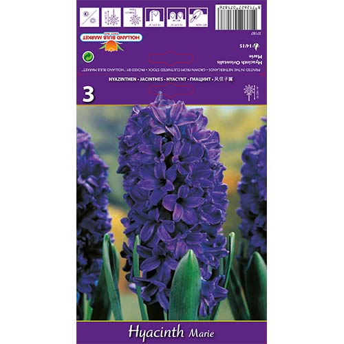 Hyacint Marie obrázok 1 artikel 67588