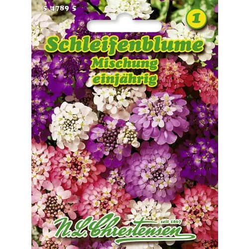 Ibéria ružová, zmes obrázok 1 artikel 96428