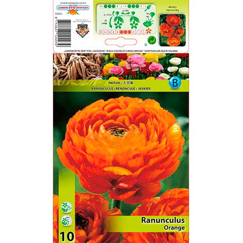 Iskerník Orange artikel fotografia 1 Iskerník Orange obrázok 1 artikel 76357