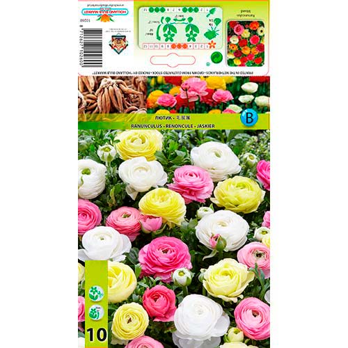 Iskerník Pastel Mix obrázok 1 artikel 76356