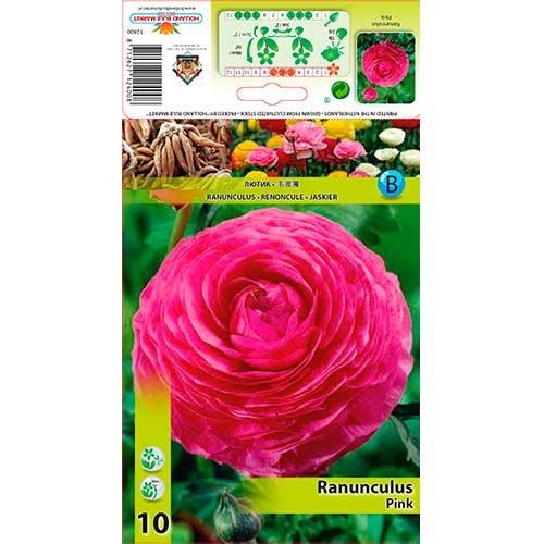 Iskerník Pink artikel fotografia 1 Iskerník Pink obrázok 1 artikel 76358