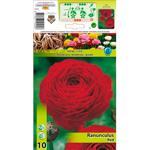 Iskerník Red artikel fotografia 1 Iskerník Red obrázok 1 artikel 76359