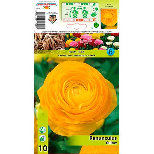 Iskerník Yellow artikel fotografia 1 Iskerník Yellow obrázok 1 artikel 76361